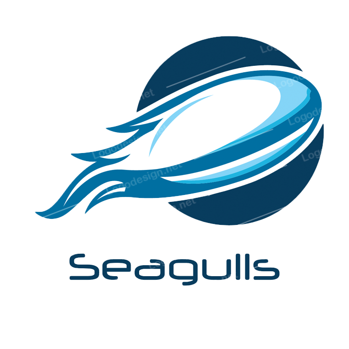 Beach City Seagulls-logo